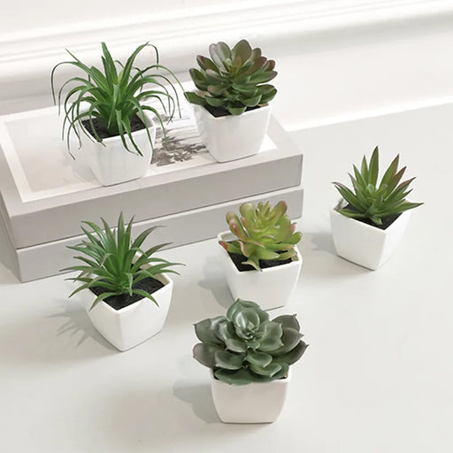 6PCS Home Decoration, Mini Evergreen Artificial Succulent Small Potted Plants - Big House Home